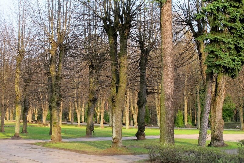 Первое лесное кладбище, Рига, Латвия.