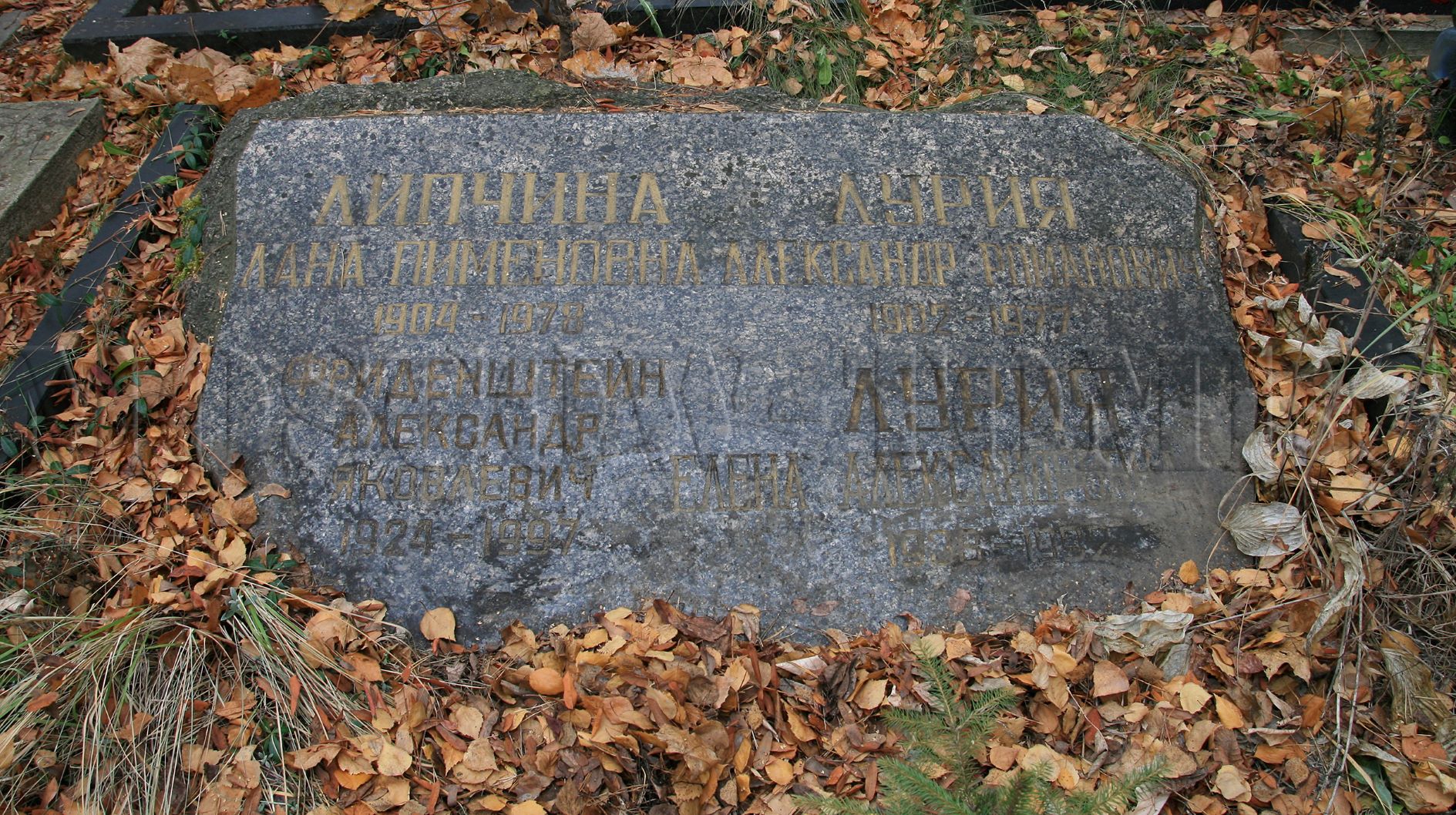 Могила Фриденштейна Александра.