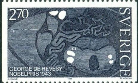 Марка, посвящённая Хевеши Дьёрди де.