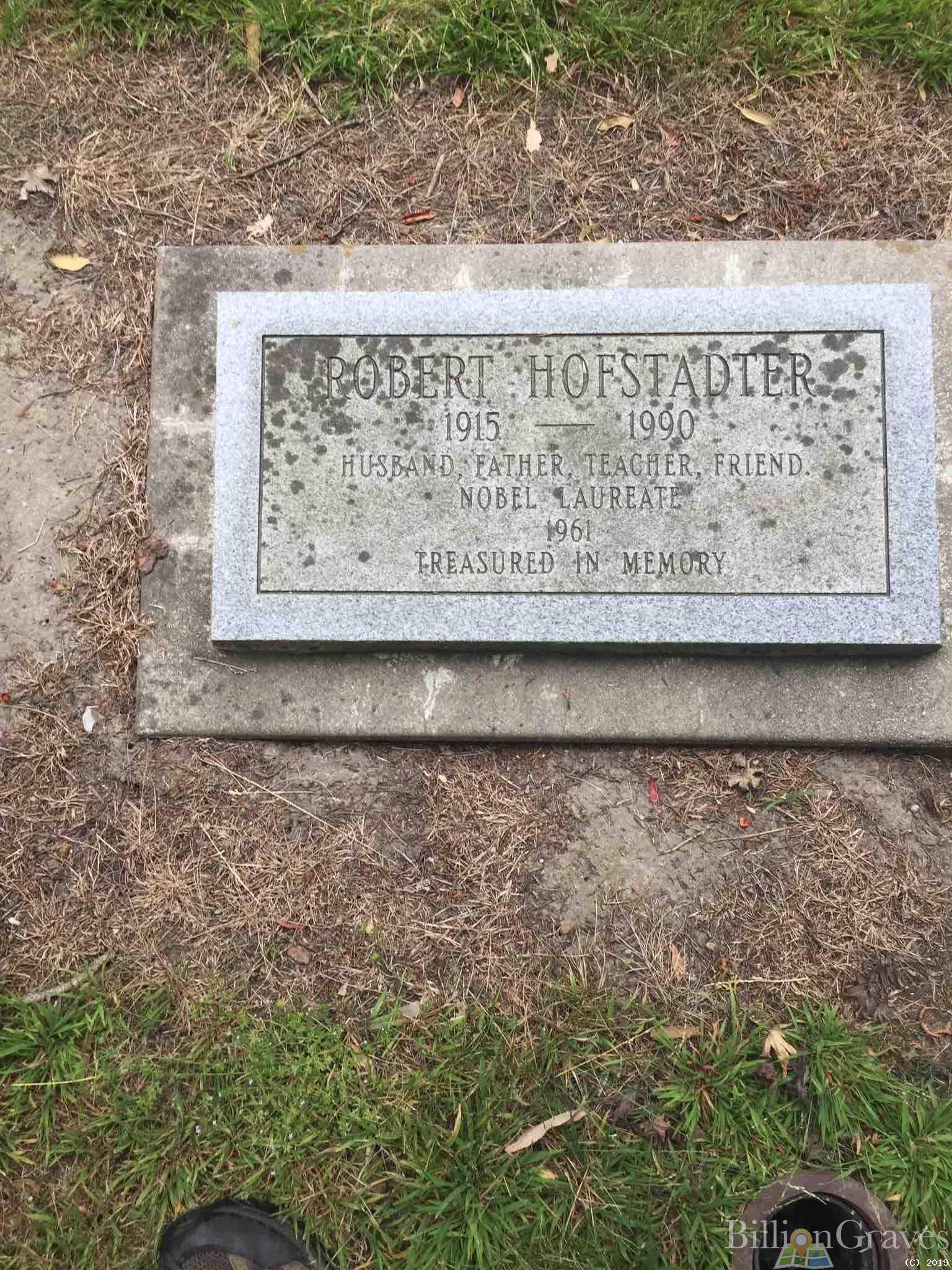 Могила Хофстедтера Роберта.