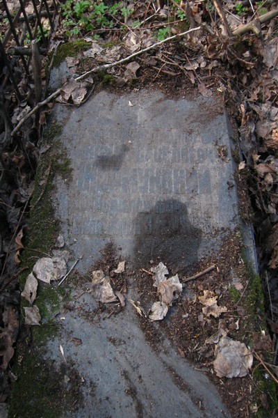 Могила Жирмунского Моисея.