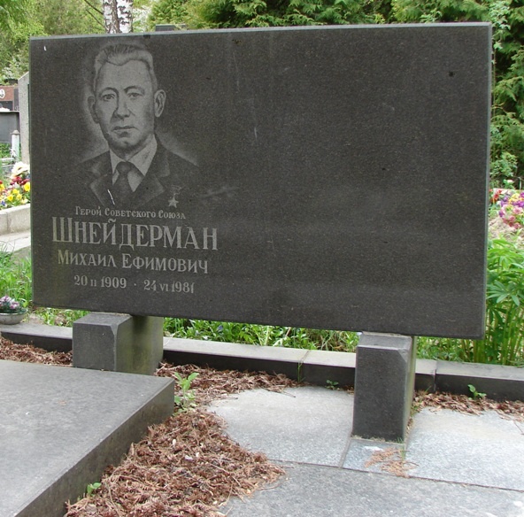 Могила Шнейдермана Михаила.