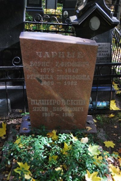 Могила Шапировского Якова.