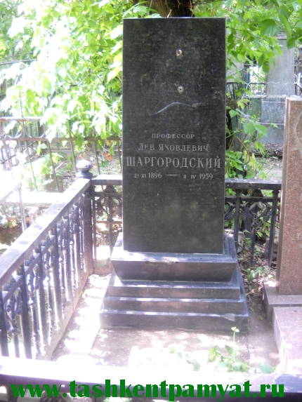 Могила Шаргородского Льва.