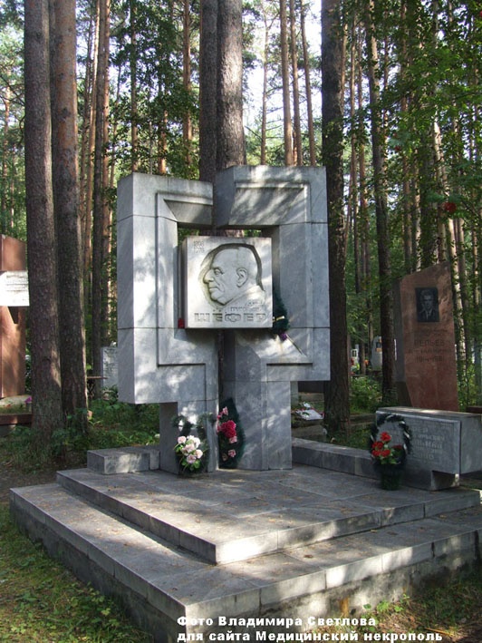 Могила Шефера Давида.